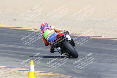 media/Mar-10-2024-SoCal Trackdays (Sun) [[6228d7c590]]/9-Turn 8 Backside (1150am)/